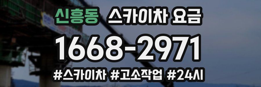 신흥동 스카이차 요금
