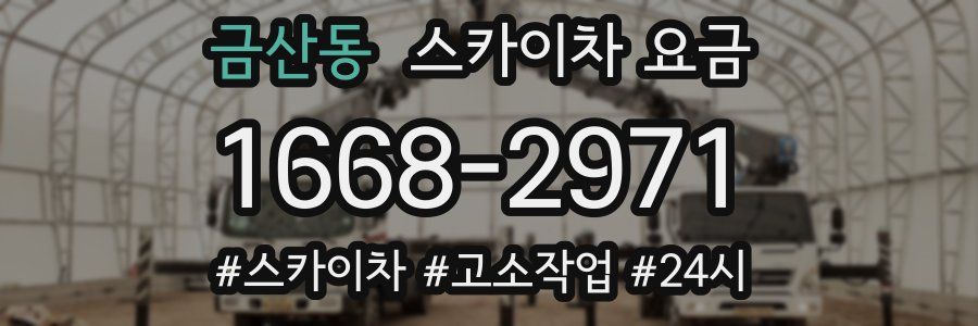 금산동 스카이차 요금