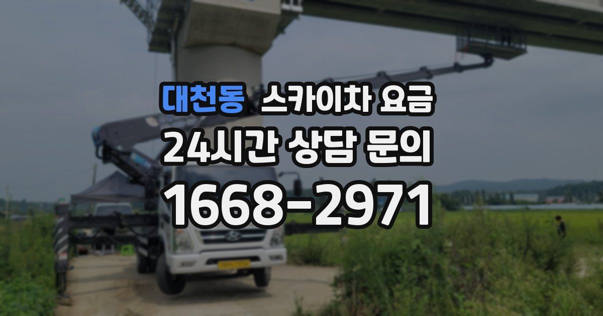 대천동 스카이차 요금