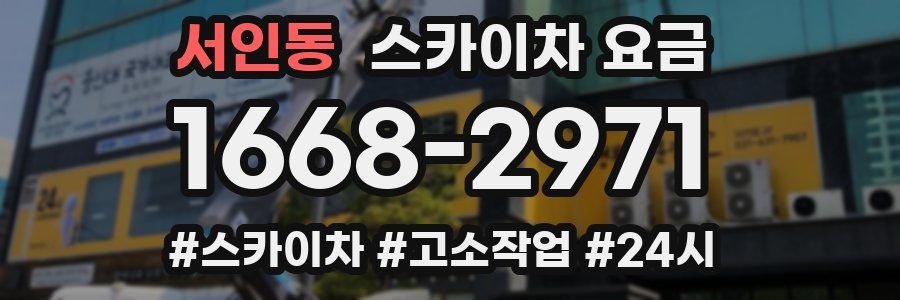 서인동 스카이차 요금