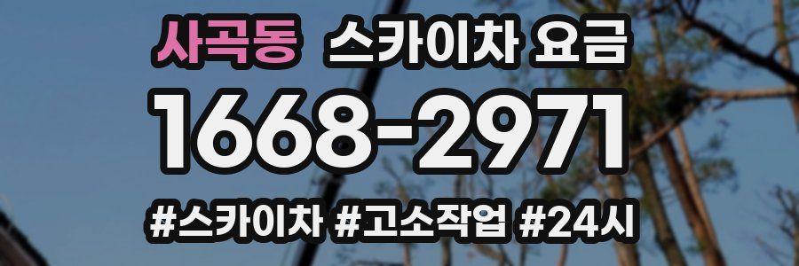 사곡동 스카이차 요금