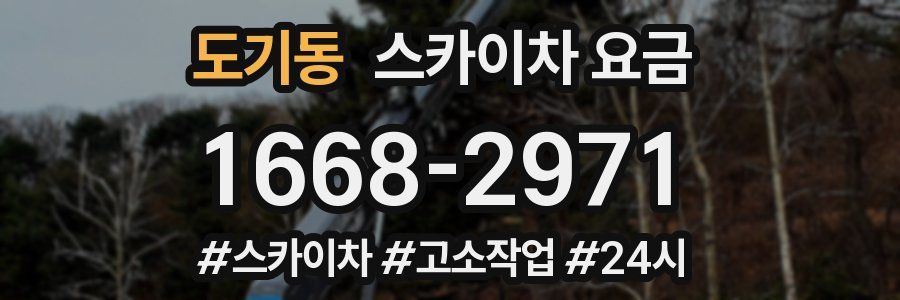 도기동 스카이차 요금