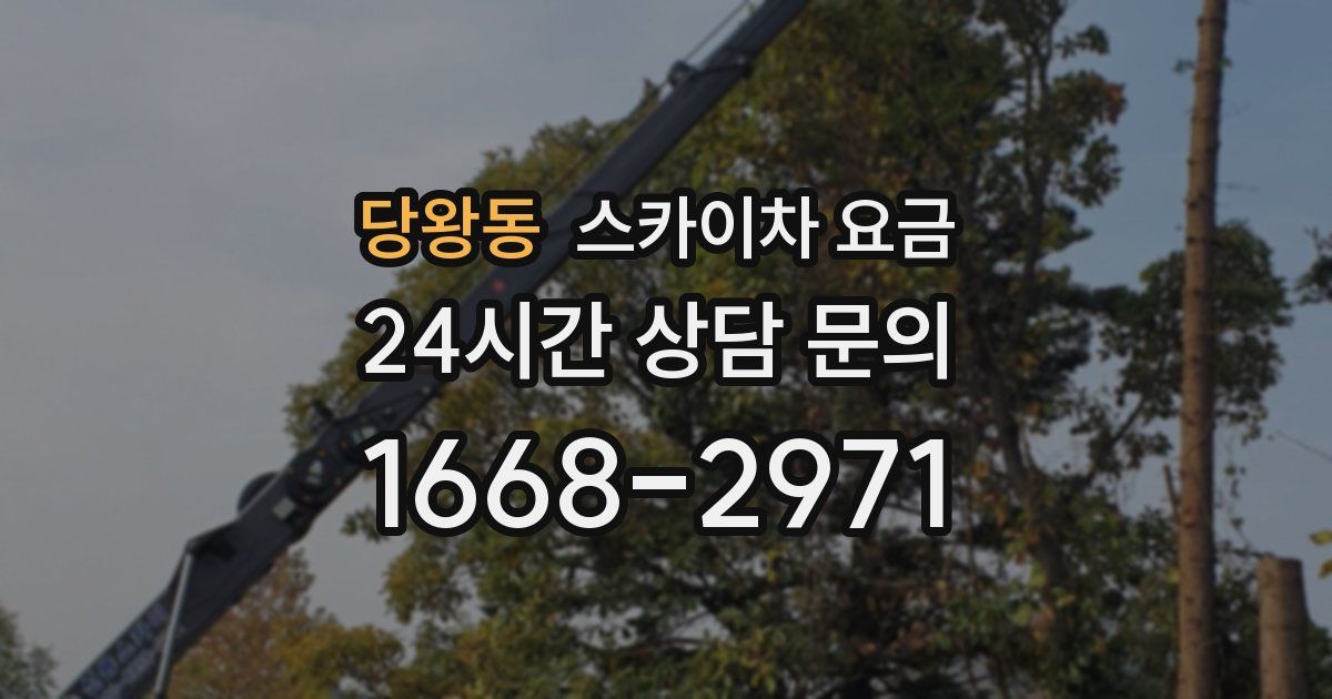 당왕동 스카이차 요금