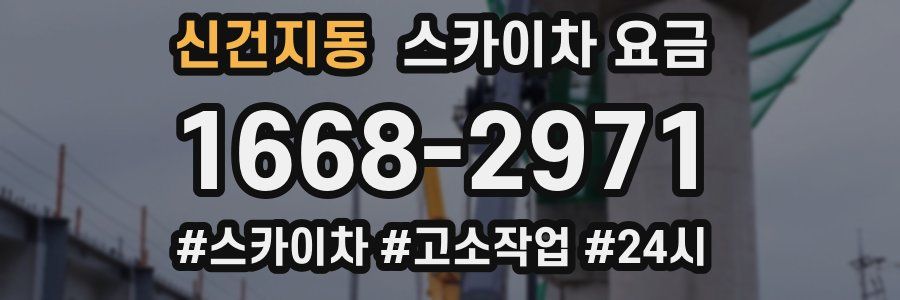 신건지동 스카이차 요금