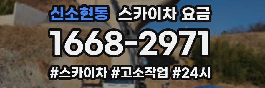 신소현동 스카이차 요금