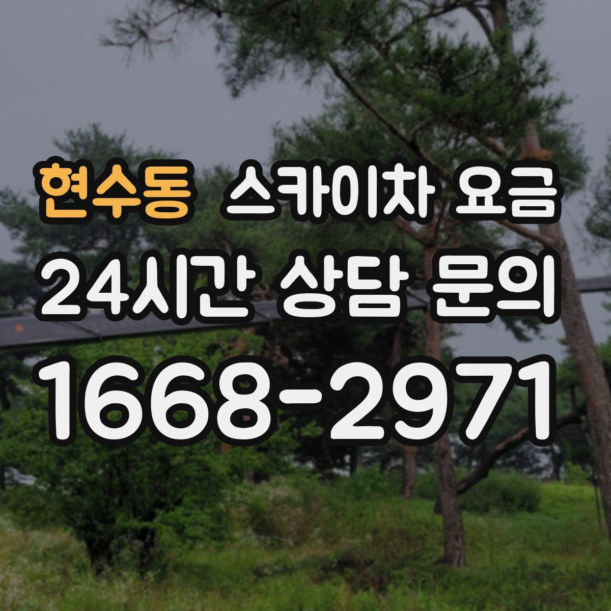 현수동 스카이차 요금