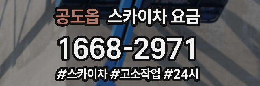 공도읍 스카이차 요금