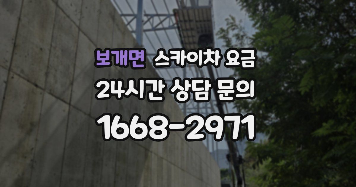 보개면 스카이차 요금