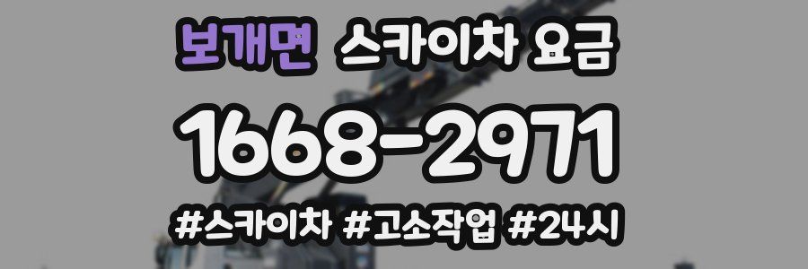 보개면 스카이차 요금