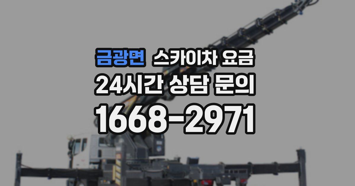 금광면 스카이차 요금