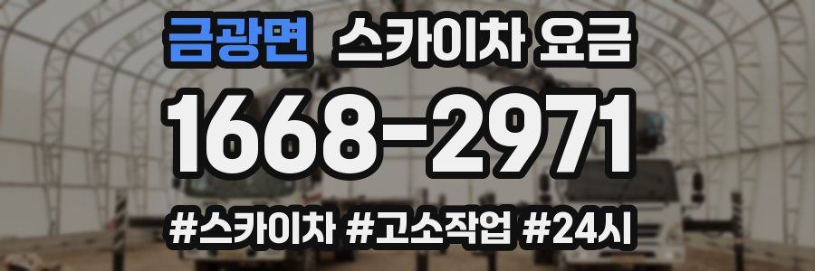 금광면 스카이차 요금