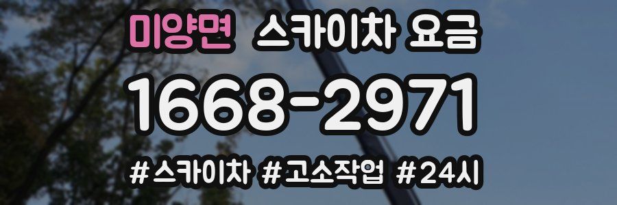 미양면 스카이차 요금