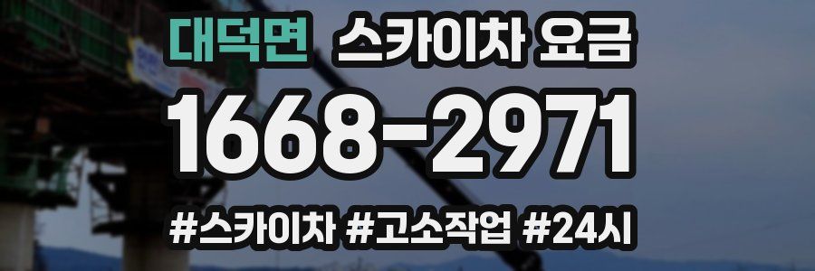 대덕면 스카이차 요금