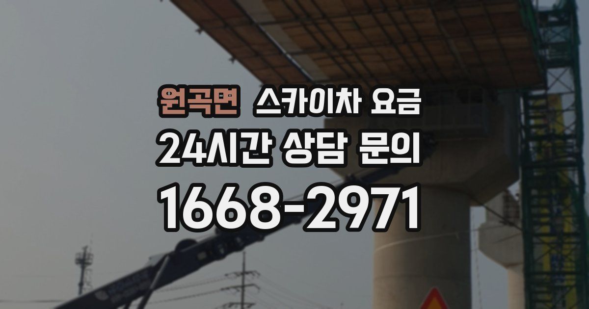 원곡면 스카이차 요금