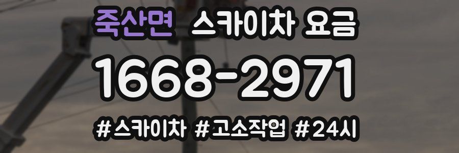 죽산면 스카이차 요금
