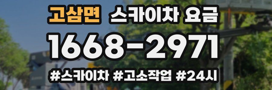 고삼면 스카이차 요금