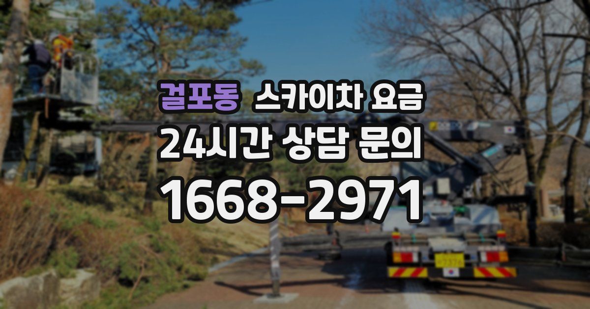 걸포동 스카이차 요금