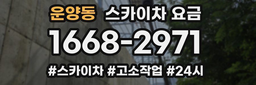 운양동 스카이차 요금