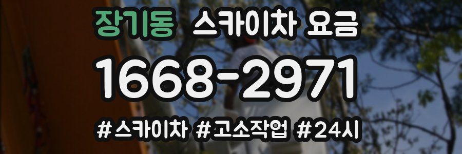 장기동 스카이차 요금