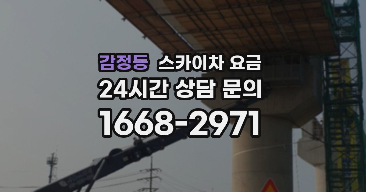 감정동 스카이차 요금