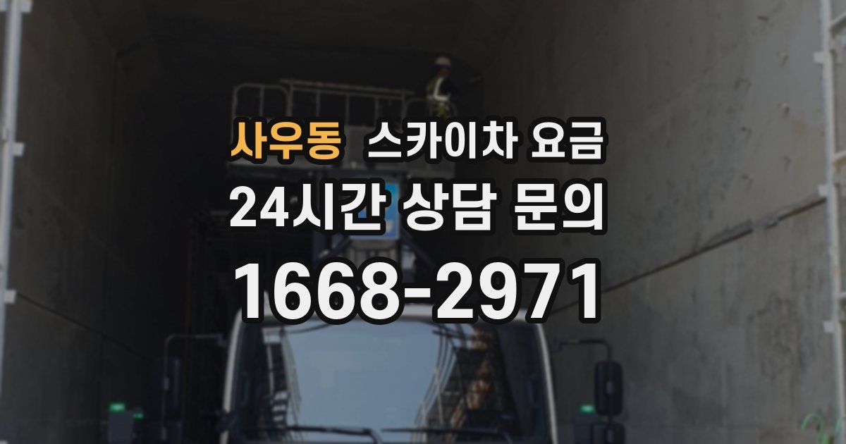 사우동 스카이차 요금