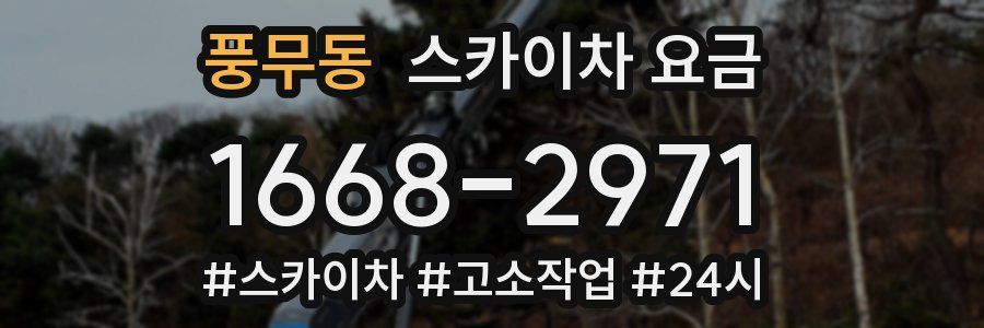 풍무동 스카이차 요금