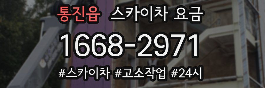 통진읍 스카이차 요금