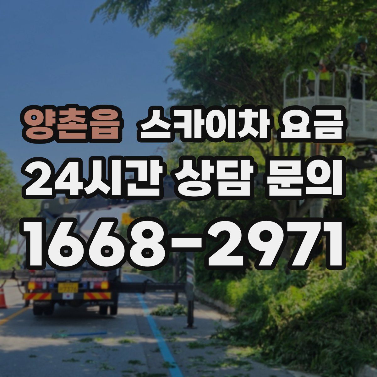 양촌읍 스카이차 요금