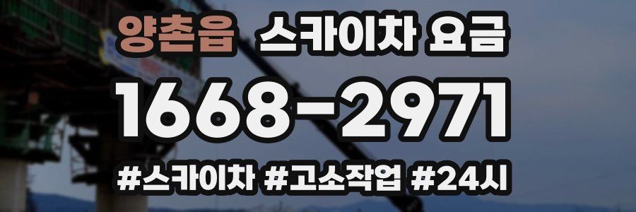 양촌읍 스카이차 요금