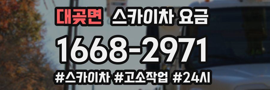 대곶면 스카이차 요금