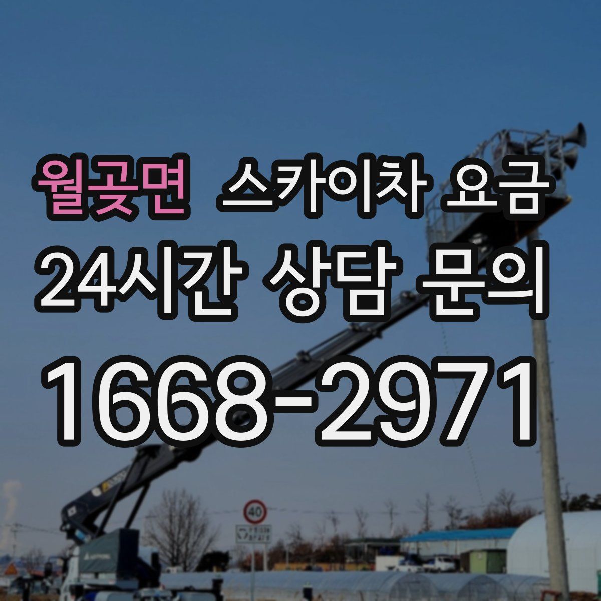 월곶면 스카이차 요금