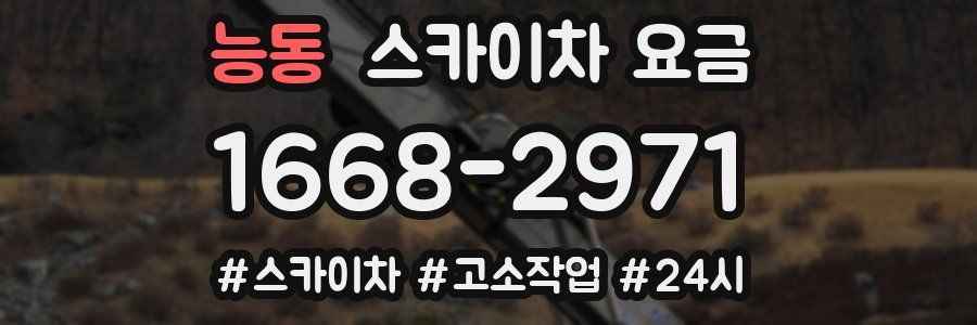 능동 스카이차 요금