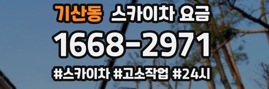 기산동 스카이차 요금