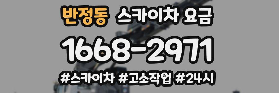 반정동 스카이차 요금