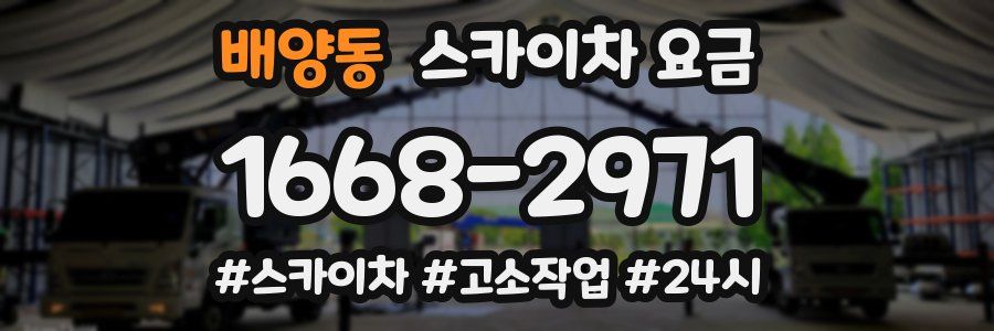 배양동 스카이차 요금