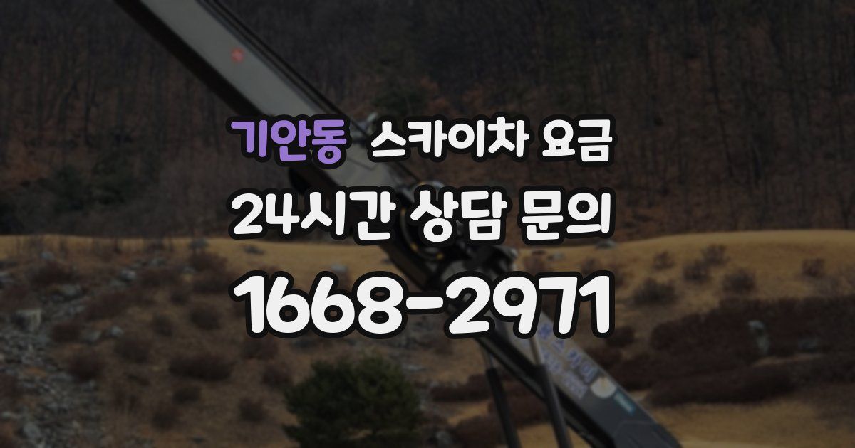 기안동 스카이차 요금