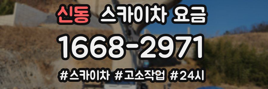 신동 스카이차 요금