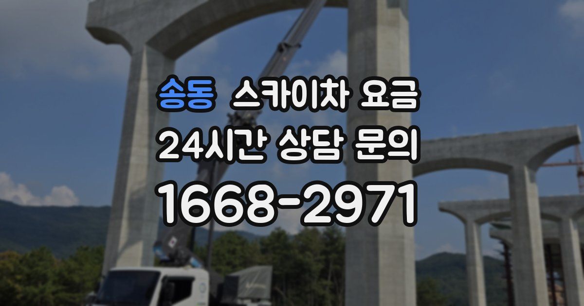 송동 스카이차 요금