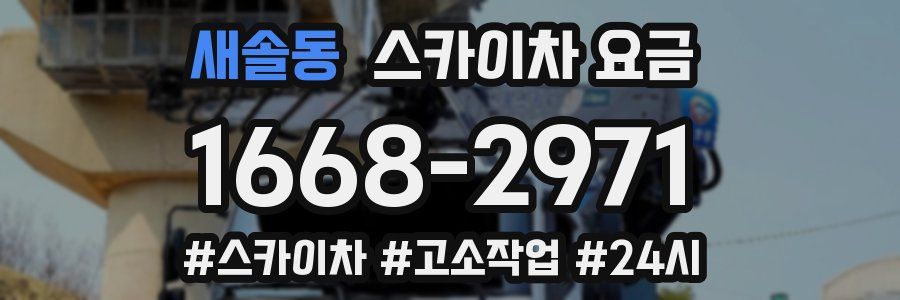 새솔동 스카이차 요금