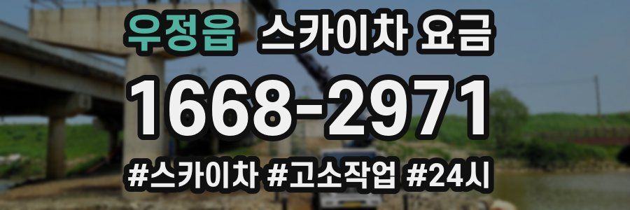 우정읍 스카이차 요금