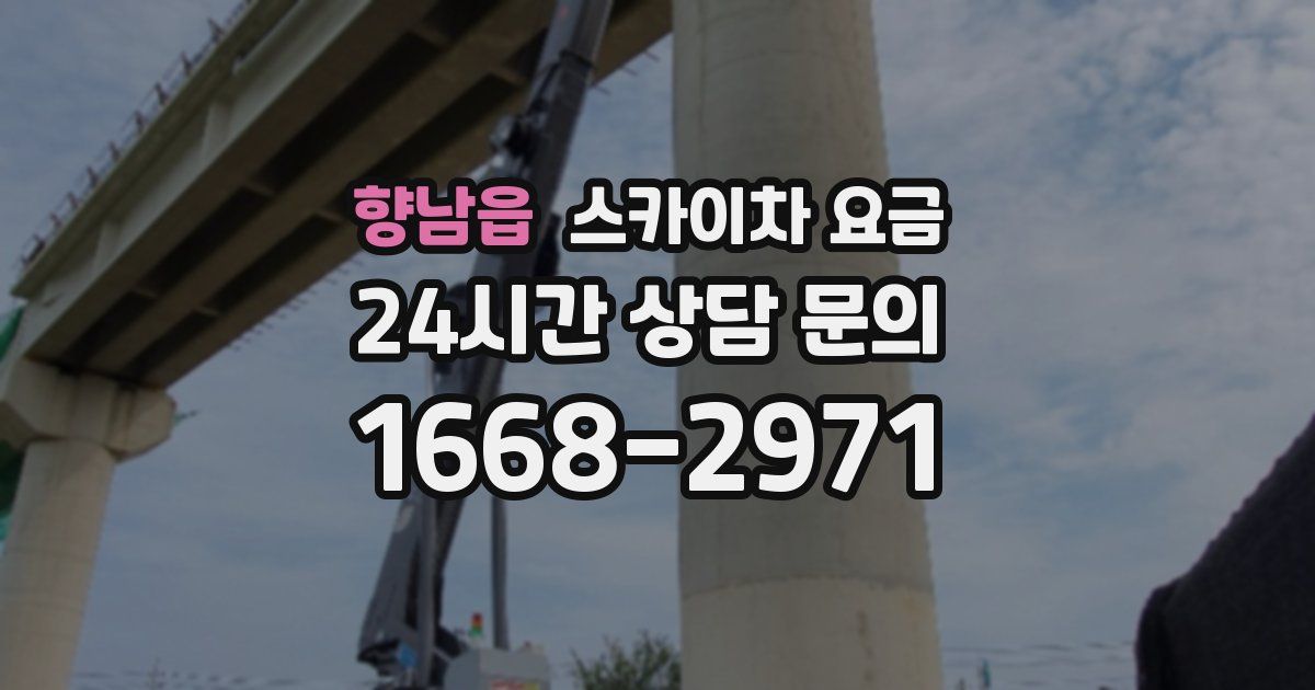 향남읍 스카이차 요금