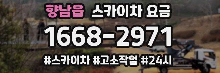 향남읍 스카이차 요금