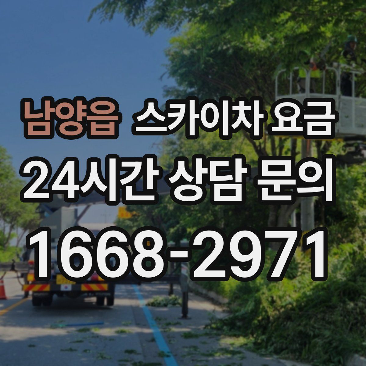 남양읍 스카이차 요금