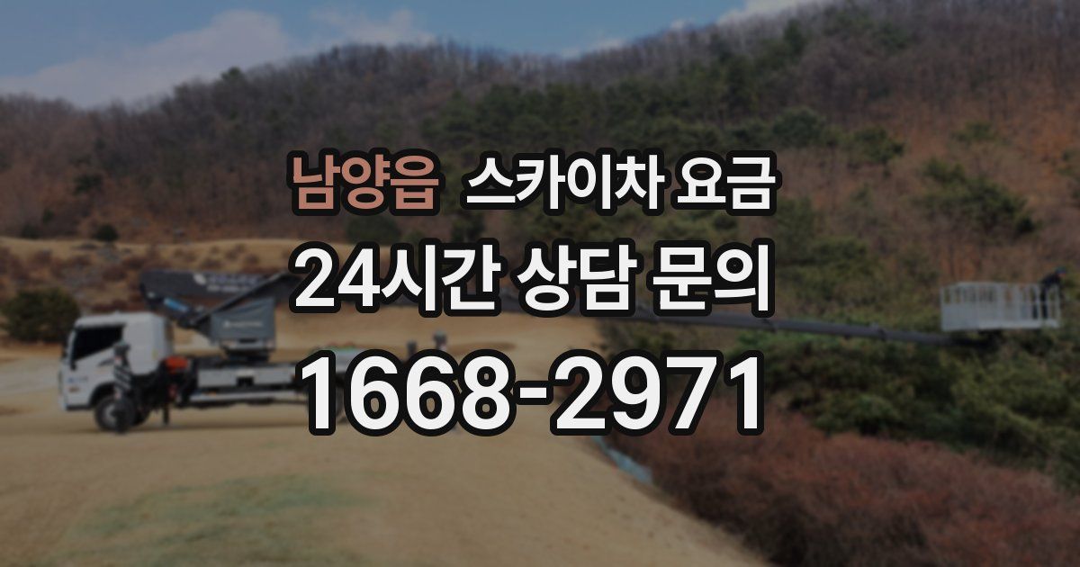 남양읍 스카이차 요금