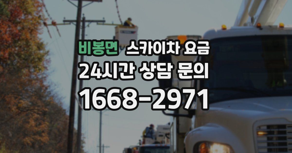 비봉면 스카이차 요금