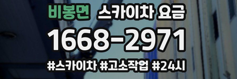 비봉면 스카이차 요금