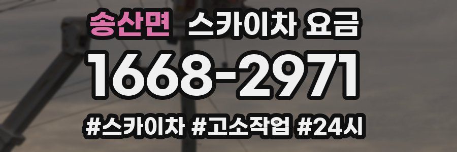 송산면 스카이차 요금