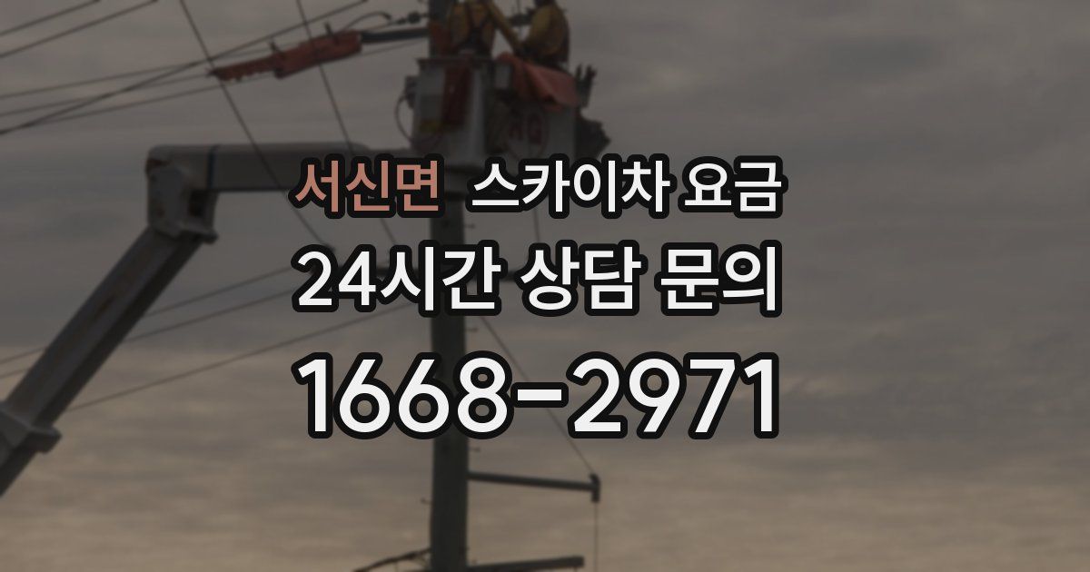 서신면 스카이차 요금