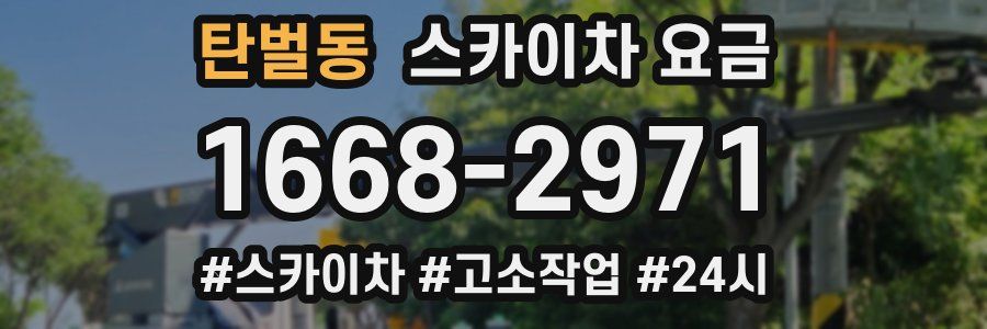 탄벌동 스카이차 요금
