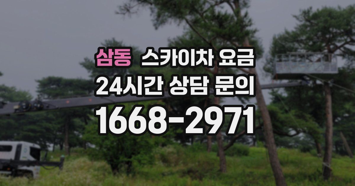 삼동 스카이차 요금